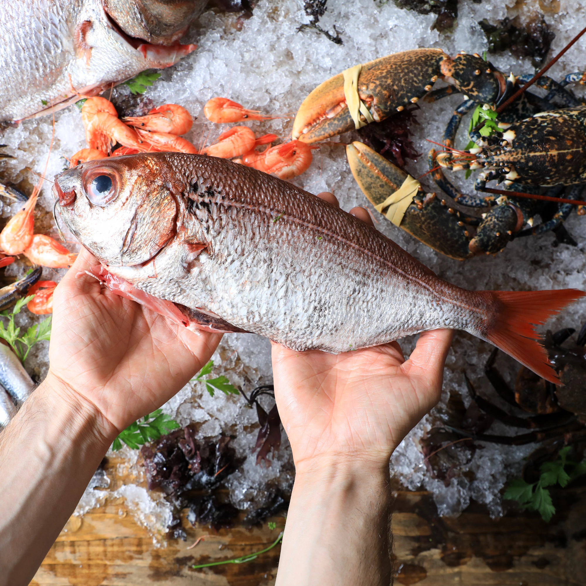 Pescheria Giardini Naxos